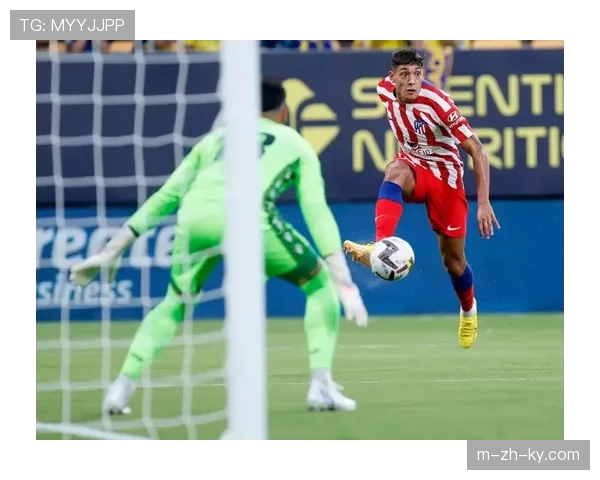 布迪米尔点球破门建功 奥萨苏纳前锋状态火热